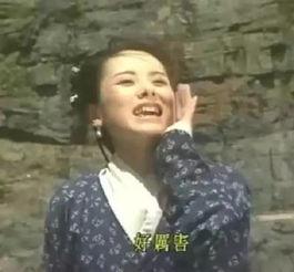 高晓松搞笑头像,笑出腹肌的瞬间，揭秘娱乐圈“笑果”大师