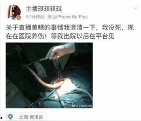 黄鳝门女主播张,揭秘网络直播界的风云人物