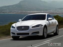 捷豹图片背景,探寻捷豹速度与激情的优雅轨迹